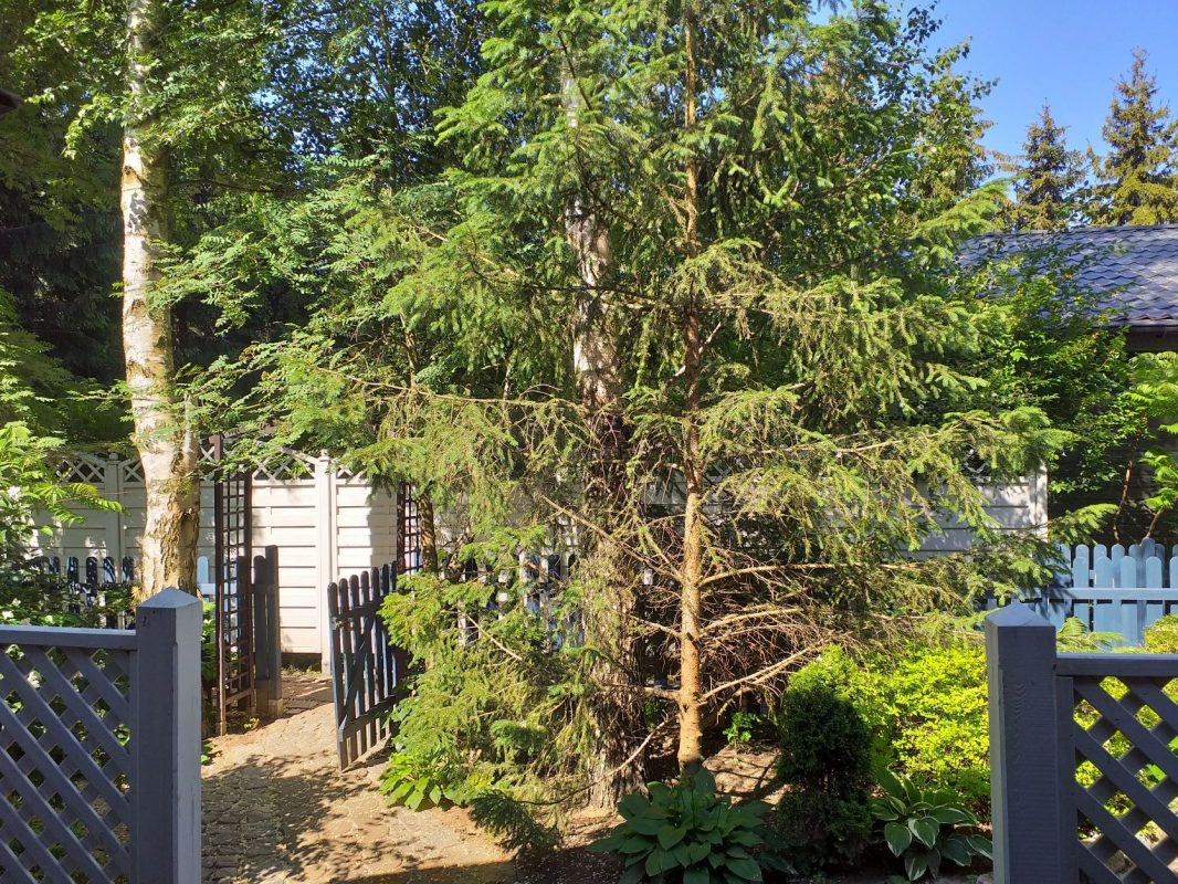 Domki ZIelono Mi Prowansja 1 (9)