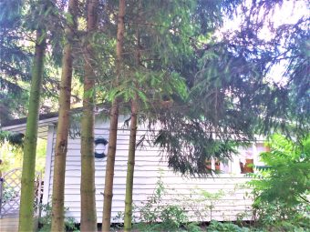 Domki Zielono Mi Domek w Sadzie (26)