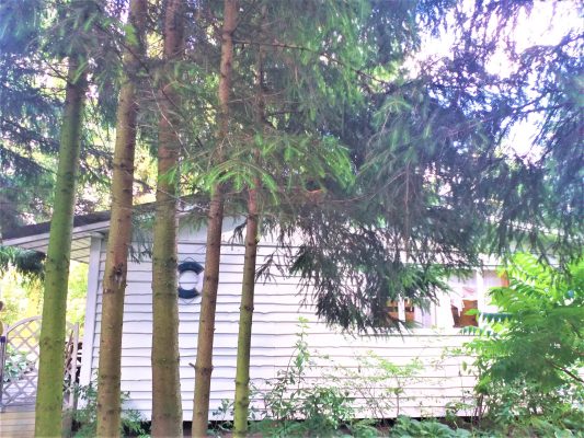 Domki Zielono Mi Domek w Sadzie (26)