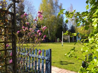 Domki Zielono Mi Pogodne Domki (489)