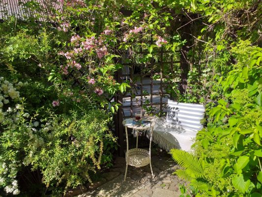 Domki Zielono Mi Stegna Fitness (2)