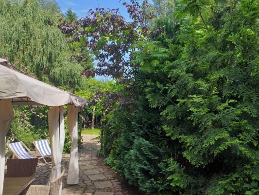 Domki Zielono Mi Stegna Fitness (34)