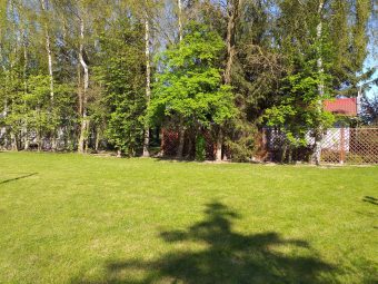 Domki Zielono Mi Tulipanek (36)