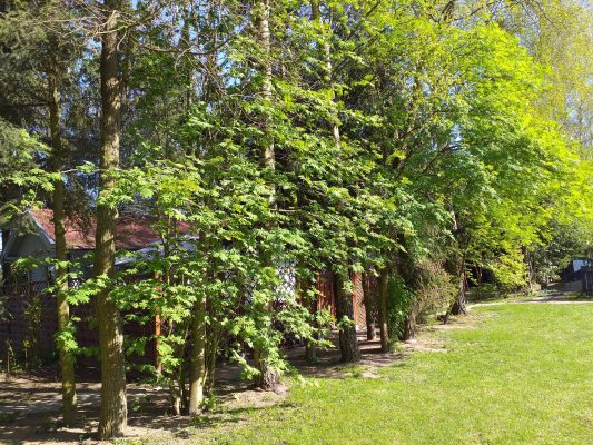 Domki Zielono Mi Tulipanek (42)