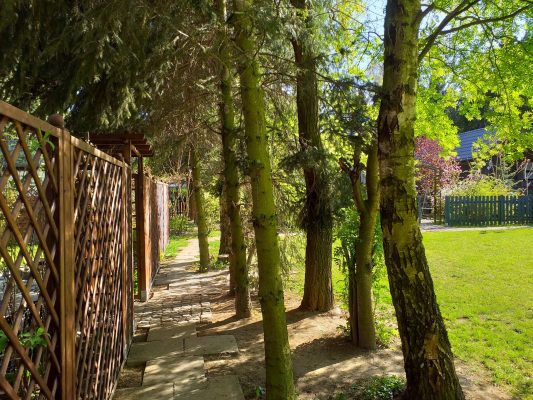 Domki Zielono Mi Tulipanek (45)