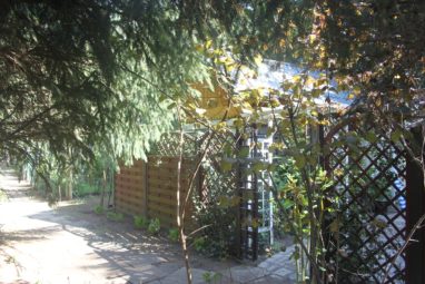 Domki Zielono Mi Walentynka (42)