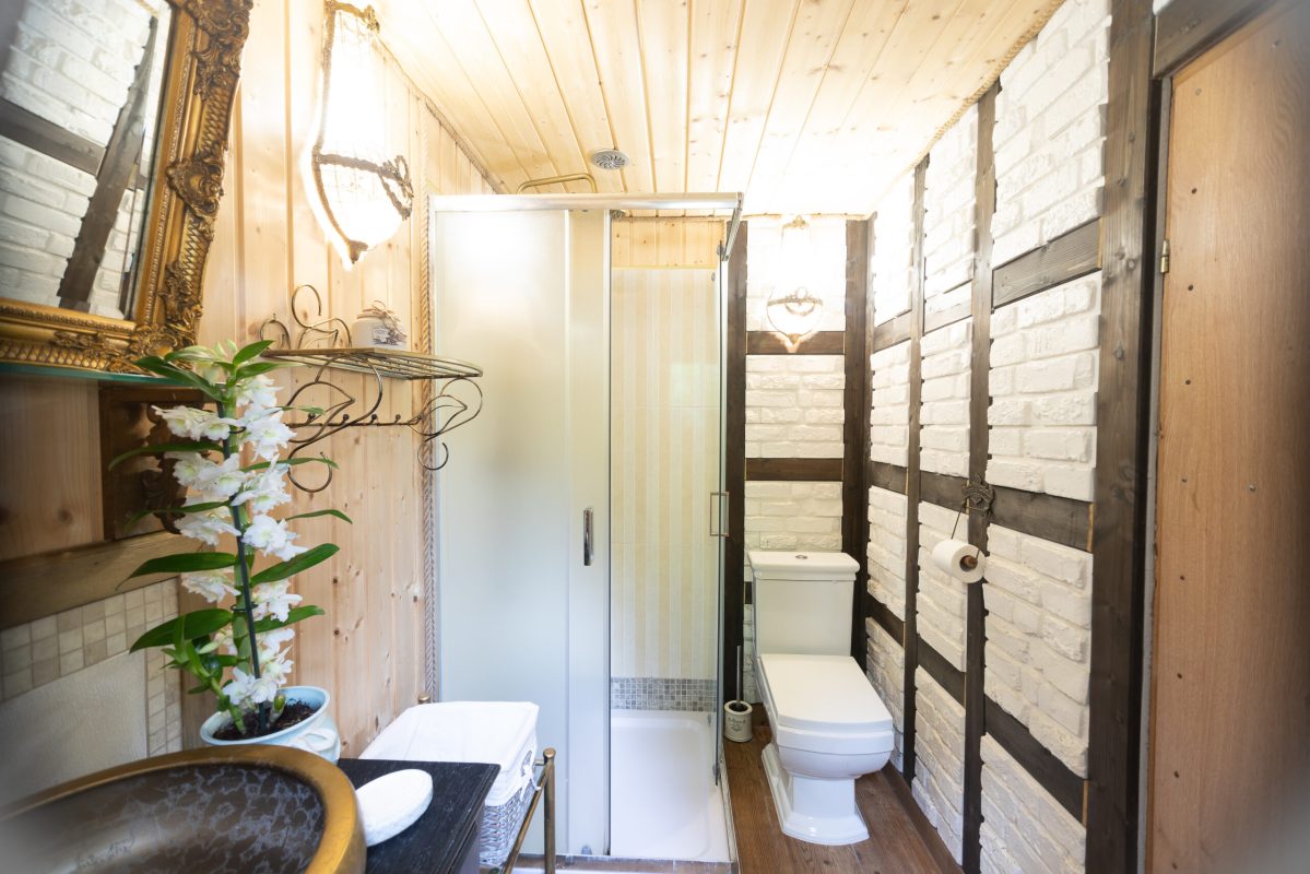 Soczewka. Kamila Świderska (329)